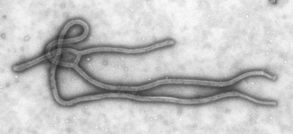 ebol.jpg